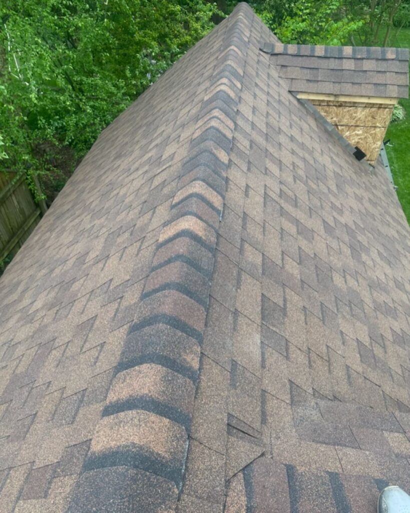 Roof